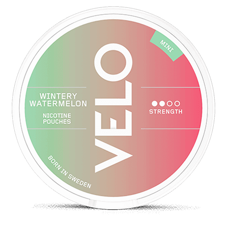 VELO WINTERY WATERMELON MINI