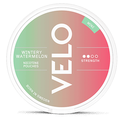 VELO WINTERY WATERMELON MINI